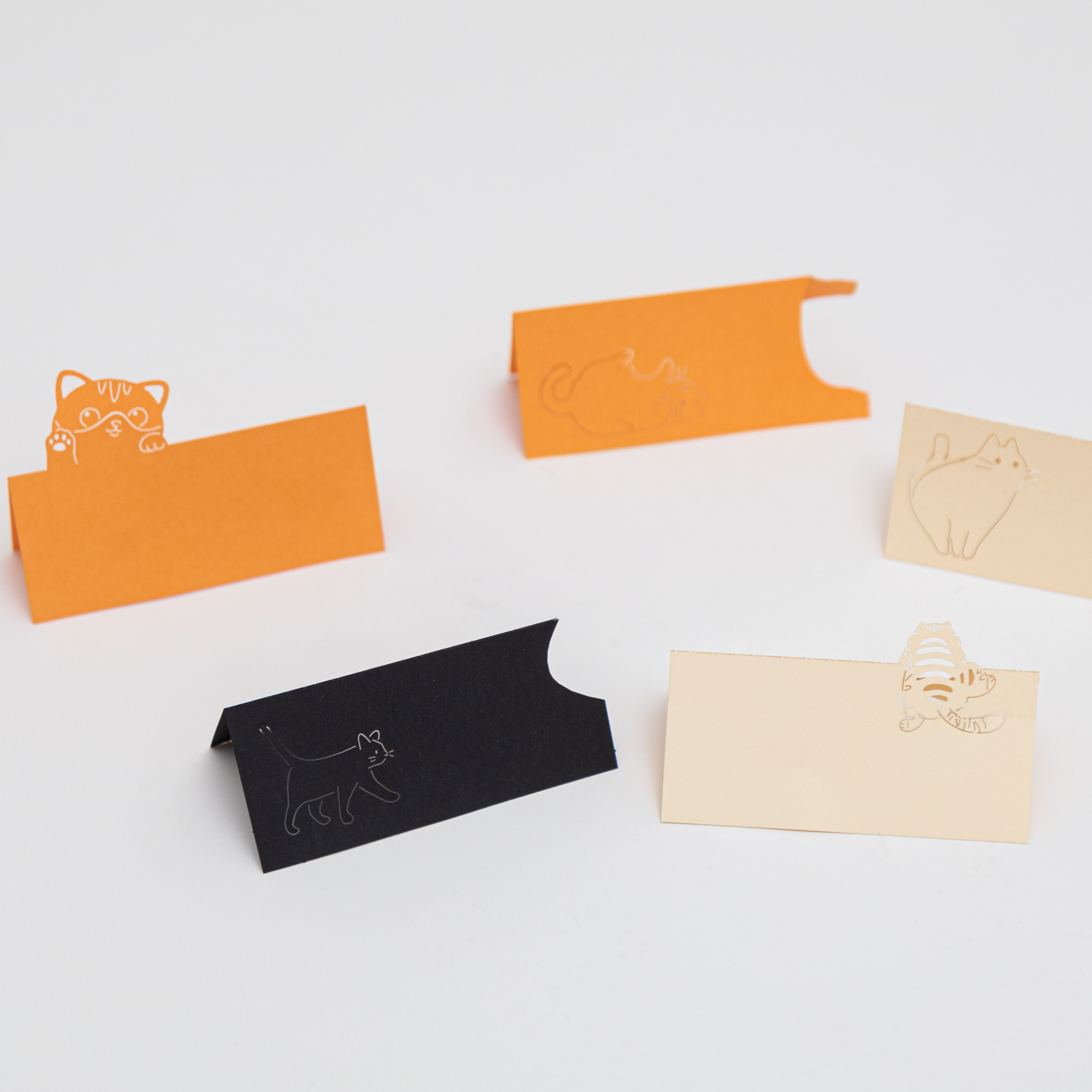 Cozy Cat 3D Memo Pad